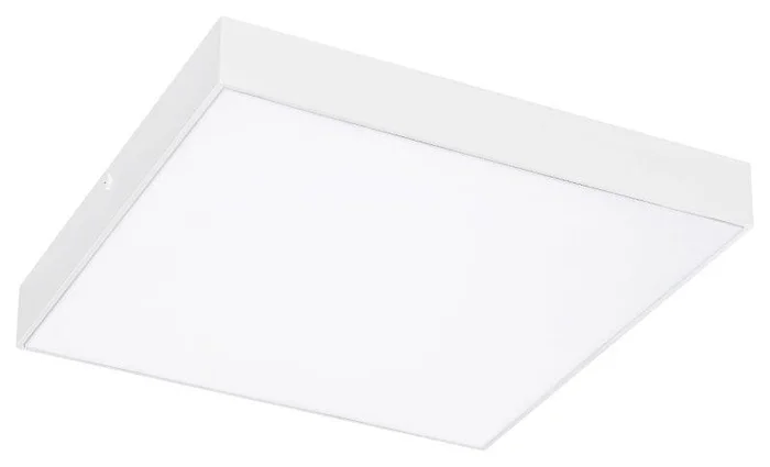 Rabalux 7896 LED Außen Deckenleuchte Tartu 1x24w | 2500lm | 2800-6000K | IP44 – weiß