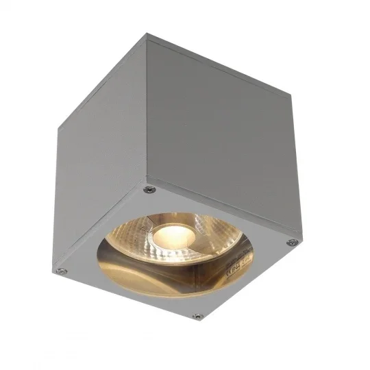 SLV Outdoor Wandleuchte BIG THEO – silbergrau (ohne Leuchtmittel)