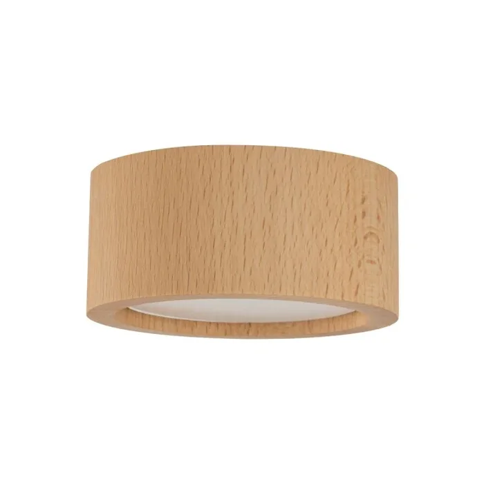 TK Lighting EVE 10123 Aufbau-Downlight 1x11W/GX53 IP20